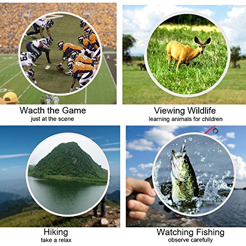 Folding Binoculars for Bird Watching 10x25 High Powered Magnification Compact Binoculars for Adults Kids Outdoor Shooting,Hunting,Astronomy,Sports and Concerts