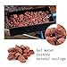 BCQLI 400g Sphere Bio-Filter Media for Marine and Freshwater Aquariums, Red Volcanic Rock