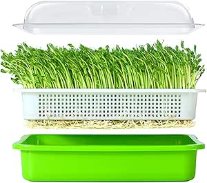 LeJoy Garden Seed Sprouter Tray BPA Free PP Soil-Free Big Capacity Healthy Wheatgrass Grower with Lid Sprouting Kit 13.4x9.84x4.72 inches(LxWxH)