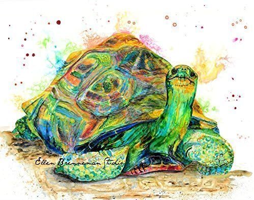 The Spirit of Tortoise hand-signed fine art print by Ellen Brenneman