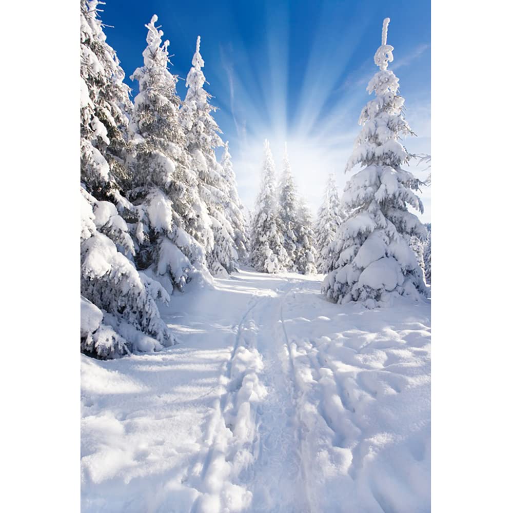 Aoihrraan 1,5x2,2m Winter Wonderland Backdrop Pine Trees Snowy Woods Sunshine Snowfield Landscape Photography Background Christmas New Year Family Holiday Outdoor Party Portrait Photo Studio Props