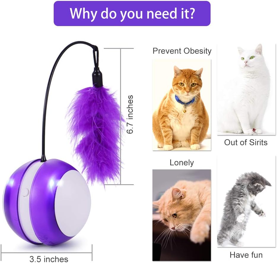 cat toys for smart cats