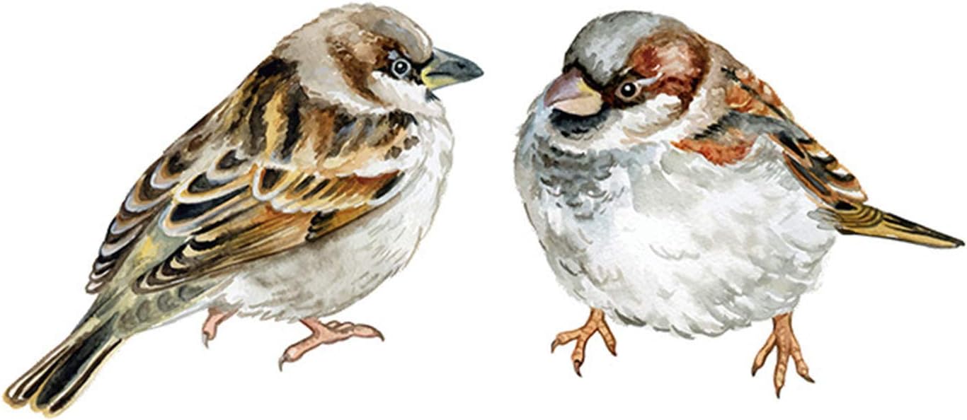 Amdoa 2 Piece Large Size Hummingbird Window Clings for Glass Windows Birds Kids Wall Stickers Wall Decals Removable Non Adhesive Vinyl for Bedroom Living Room