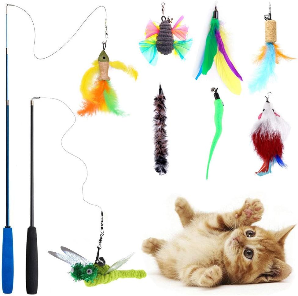 doberman cross puppies for sale