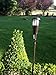 Newhouse Lighting TIKILED2-B Solar Flickering LED Island Torches, Dark Chocolate, 2-Pack