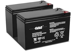 Casil 12V 9Ah F2 Terminal Replacement Battery Compatible with APC Back-UPS XS1500 XS 1500 2 Pack