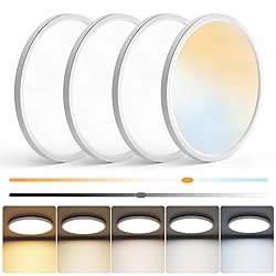 NIORSUN 12 inch Flush Mount LED Ceiling Light