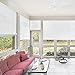 Radiance 0320156 Vinyl PVC Roll Up Blind, White, 60 Inch Wide x 72 Inch Long