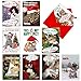 NobleWorks Variety Pack of 10 Funny Cats Christmas Greeting Cards with Envelopes, Kittens Humor Holiday Assortment for Men and Women - Petigreet Cat-Mass A1254