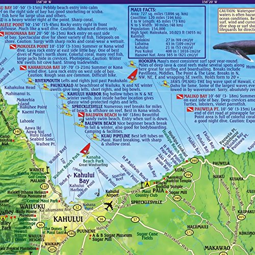 Maui Hawaii Dive & Snorkeling Guide Franko Maps Waterproof Map Pricepulse