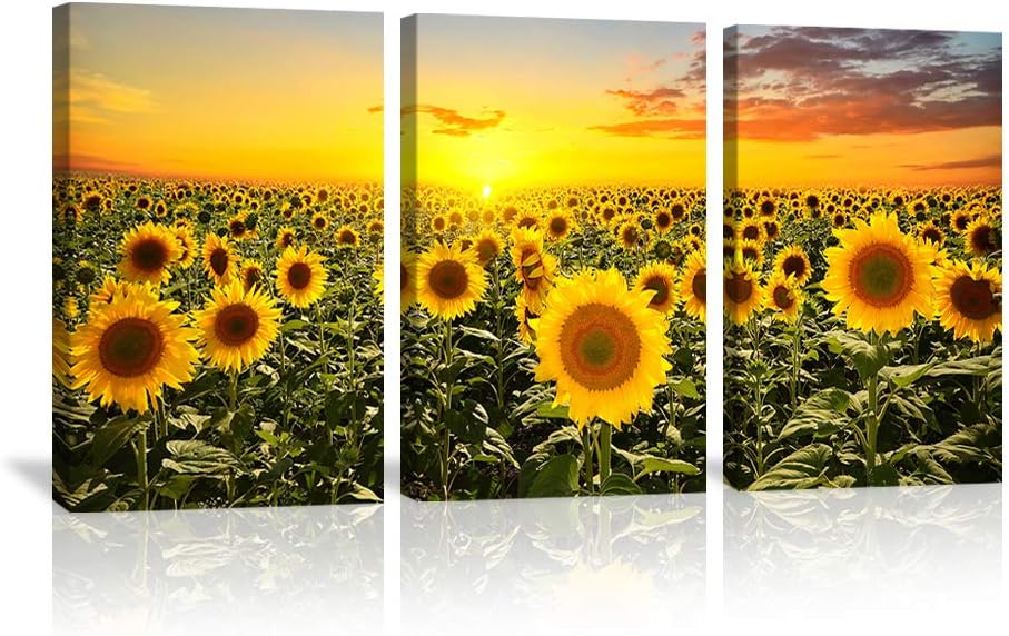 Amazon Com Kalawa Sunflower Wall Art Nature Scenery Painting Sunflower Field And Sunset Wall Decor Florals Canvas Print Picture Farm Home Decor 3 Panels Framed For Living Room Kitchen Hallway Ready To Hang