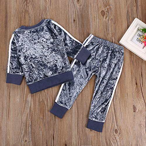 1-6Y Girls Velvet Sweatshirt Tops + Pants Fashion Sports Tracksuit Clothes Set (2-3T, Blue)