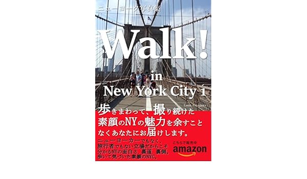 Amazoncom Walk In New York City New Yourk Photo Book - 