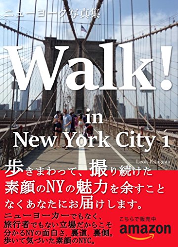 Amazoncom Walk In New York City New Yourk Photo Book - 