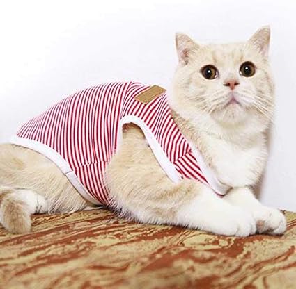 Sdfgh Vêtements De Chat été Mince Dos Printemps Et été