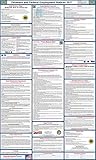 2017 Delaware State and Federal Labor Law Poster - Laminated 24