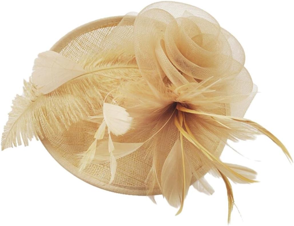 Wedding Party Hat,Wensltd Elegant Womens Feather Mesh Net Sinamay Fascinator Hat