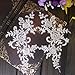2 Pcs Raw White Flower Lace Patches for Wedding Dress DIY Clothing Flower Applique Collar Material