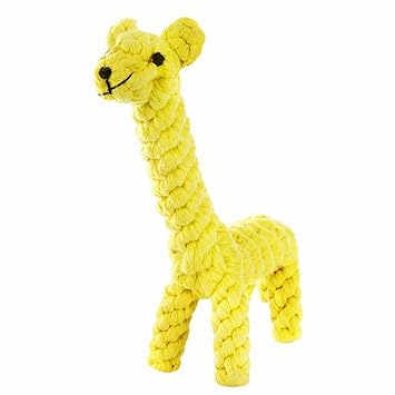 Pets Empire Interactive and Chewing Cotton Rope Toys Set for Medium to Small Pet Teething (Colour May Vary)