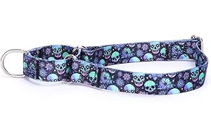 Pimaodog Heavy Duty Nylon Dog Collar, Adjustable Martingale Dog Collar for Walking Training Boy and Girl Dogs Medium Large Dogs (L:45-53CM, Skulls)