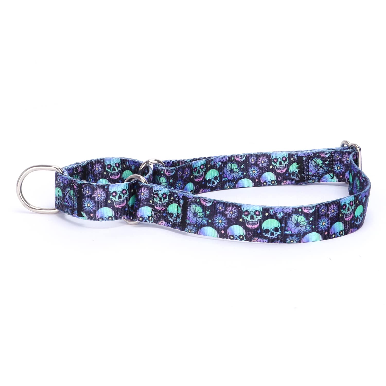 haoyueer Heavy Duty Nylon Adjustable Martingale Dog Collar for Walking Training Boy and Girl Dogs (XL:53-62CM, Skulls) — image 1