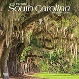 South Carolina Wild & Scenic 2020 12 x 12 Inch Monthly Square Wall Calendar, USA United States of Am by