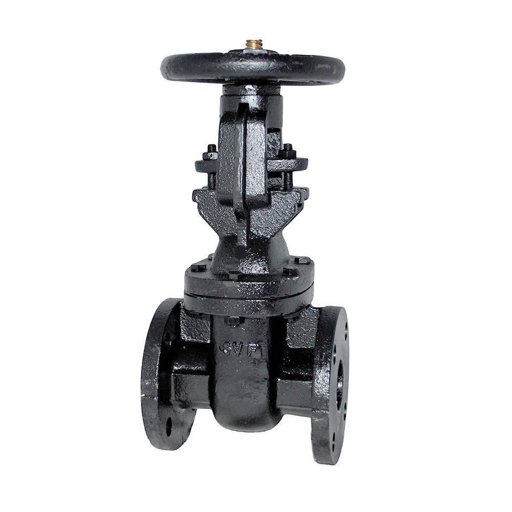 8'' C.I. OS&Y Gate Valve 1 pcs Industrial & Scientific
