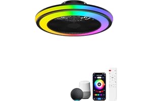AQUBT Ceiling Fans with Lights and Remote，20" Low Profile Ceiling Fan with Light,6-Speed Wind & Dimmable LED,1000+RGB Ambient Light,Flush Mount Ceiling Fan Compatible with Alexa and Google Home(Black)
