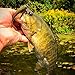 Fishing Lures Artificial Paddle Tail Soft Swimbaits Shad Bait Fish Worms for Bass Trout Walleye Freshwater Saltwater with FREE Tackle Box