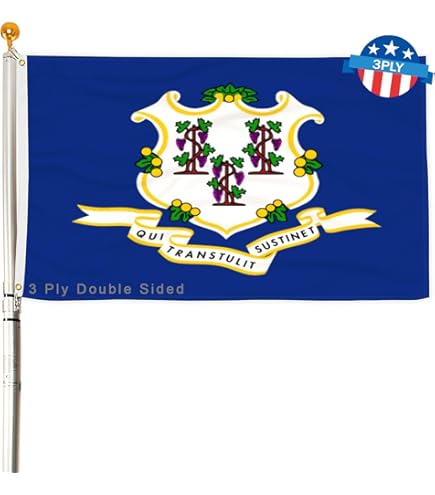 花瓶・フラワースタンド Ct flag DIGS \