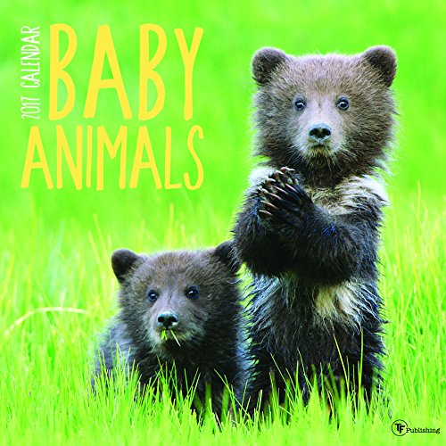 2017 Baby Animals Wall Calendar 2017 Baby Animals Wall Calendar