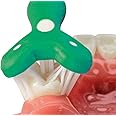 LIJA Specialized Care Co Inc Surround® Toothbrush (Pack of 2) (Purple/Green)