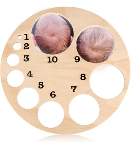 Human Anatomy Model Fetal 4D Model - Human Embryo Development Anatomy ...