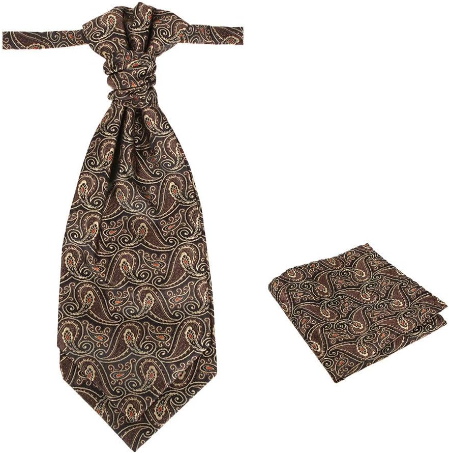 EpointCravat Necktie For Party Silk Pretied Ascot Cravat Tie 12 Inch Clip-On Adjustable