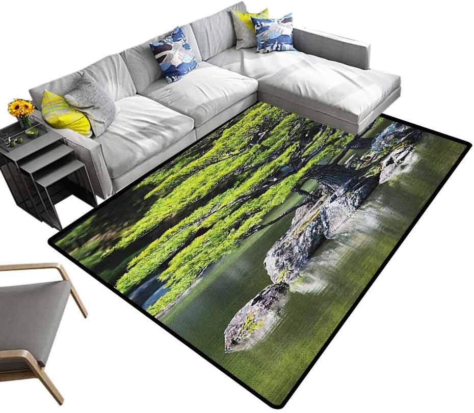 Japanese Bedroom Carpet Pine Tree in Lake with Stones Japanese Organic Nature Scenery with Garden Theme Kids Carpet Green (5'7"x6'6")