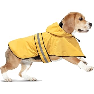 Amazon Best Sellers: Best Dog Raincoats