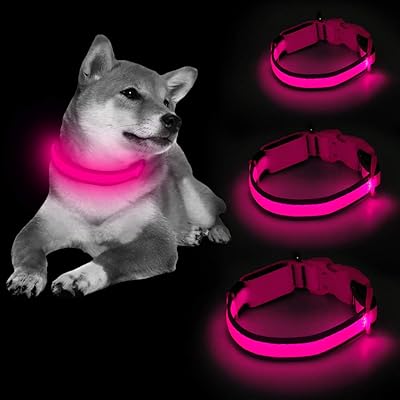 Clan-x LED Dog Collar, USB Rechargeable&amp; Adjustable Mesh Webbing Flashing Light Up Collar Make Your Dogs Seen&amp; Safe at Night, for Small, Medium, Large Dogs