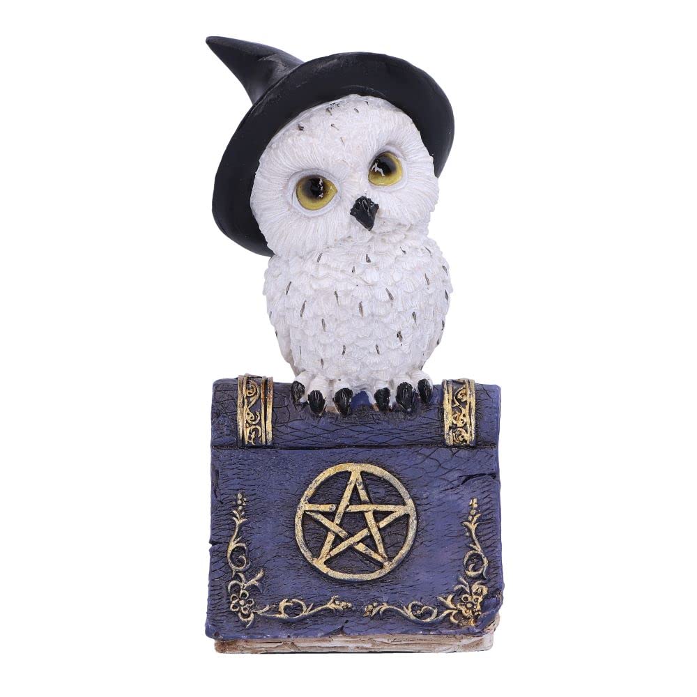 Nemesis Now Avian Spell Owl Figurine 12.5cm – Blue Witchcraft Owl on Spell Book Resin Ornament