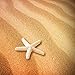 SUBANG 20 Pieces Starfish 2.3 Inch White Resin Sea Star Fake Starfish for Wedding Decor Beach Theme Party, Home Decorations,DIY Crafts, Fish Tank