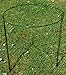 Feitore Plant Support Stakes, 2 Pack Metal Garden Plant Supports Plant Support Cage Half Round Plant Support Ring Garden Flower Plant Supports for Tomato, Peonies, Roses, Hydrangea 9.8