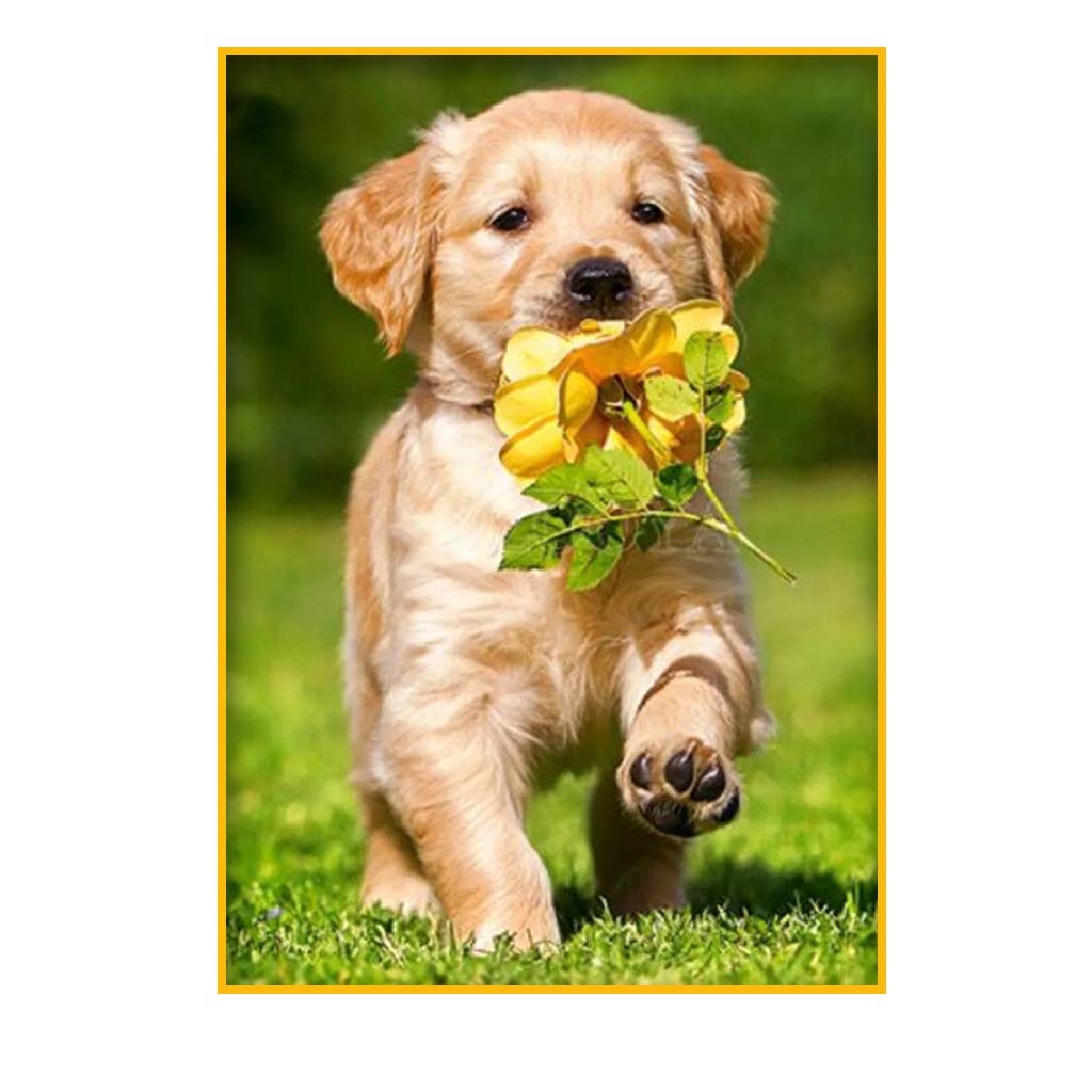 5D Diamond Painting Kits for Adults Full Drill DIY Diamond Paintings Dog and Rose Art Crystal Rhinestone Embroidery Mosaic Pictures Cross Stitch Arts Craft for Home Gem Painting Kits Gifts 30X40CM