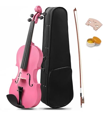 Amazon.com: Palatino VN-350-1/16 Campus Violin Outfit, 1/16