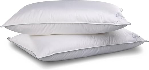 Amazon Com White Boutique Perla European White Goose Down Pillow