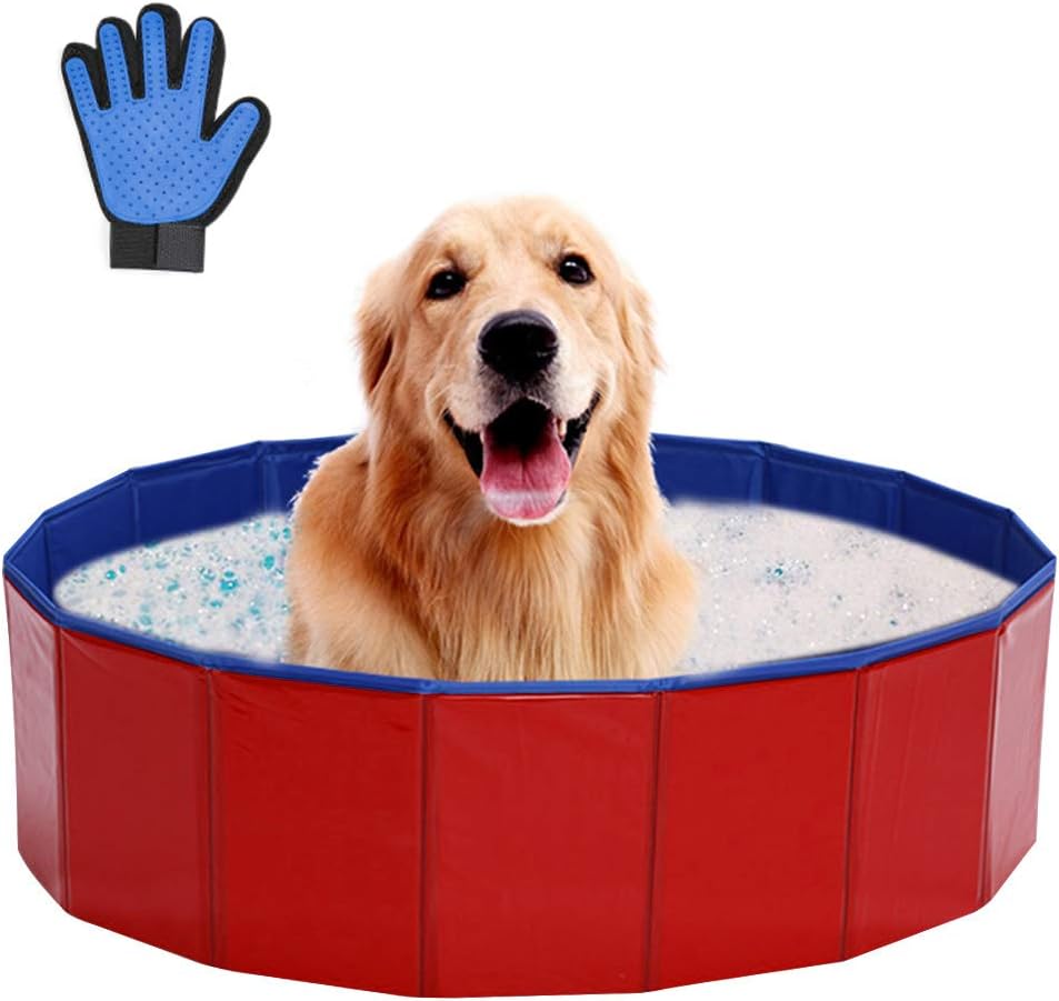 indoor dog pool near me