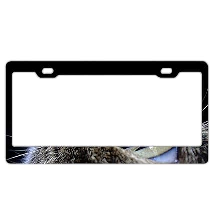 License Plate Covers Frames Frames Greicmn Cats And Sunglasses