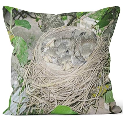 Amazon Com Nine City Chicks In The Nest Cubs Nesting Birds Throw