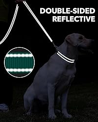 Taglory Dog Leash for Medium Large