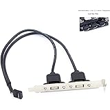 LoongGate Motherboard USB Cable - 2 Port USB 2.0 Motherboard Rear Panel Expansion Bracket to IDC 9 Pin Motherboard USB Cable Host Adapter