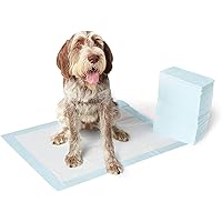 AmazonBasics Pet Training Pads Extra-Large - 40-Count