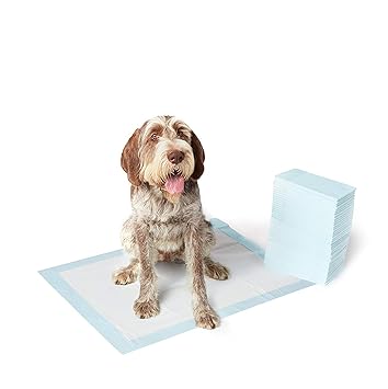 Goofy Tails Pet Training Puppy Potty Pad for Dogs L60 X W45 (10 Pieces)
